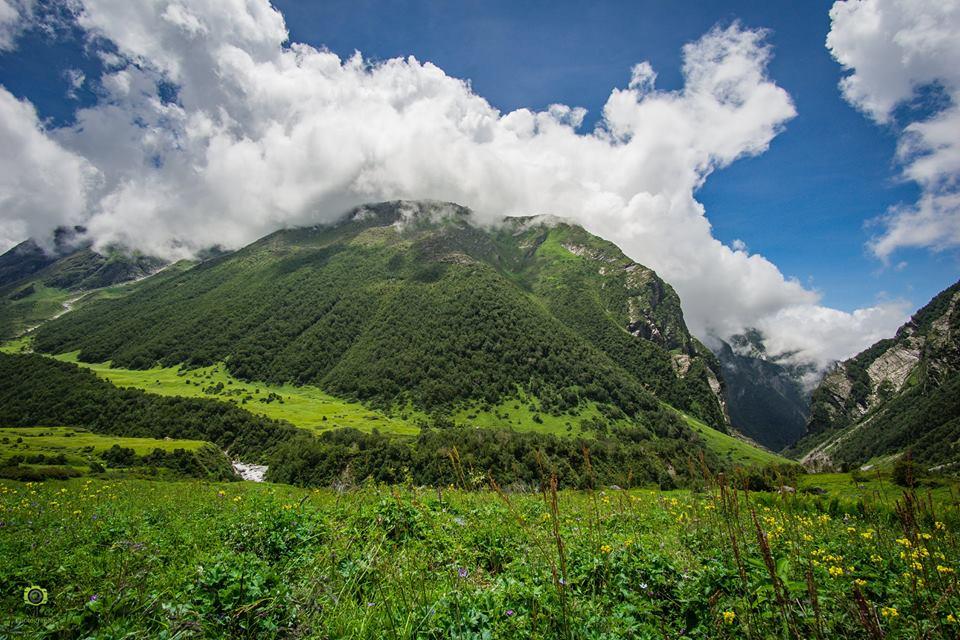 Valley of Flowers Trek - 12