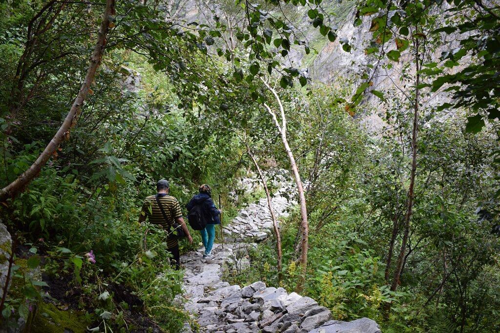 How to Reach Valley of flowers