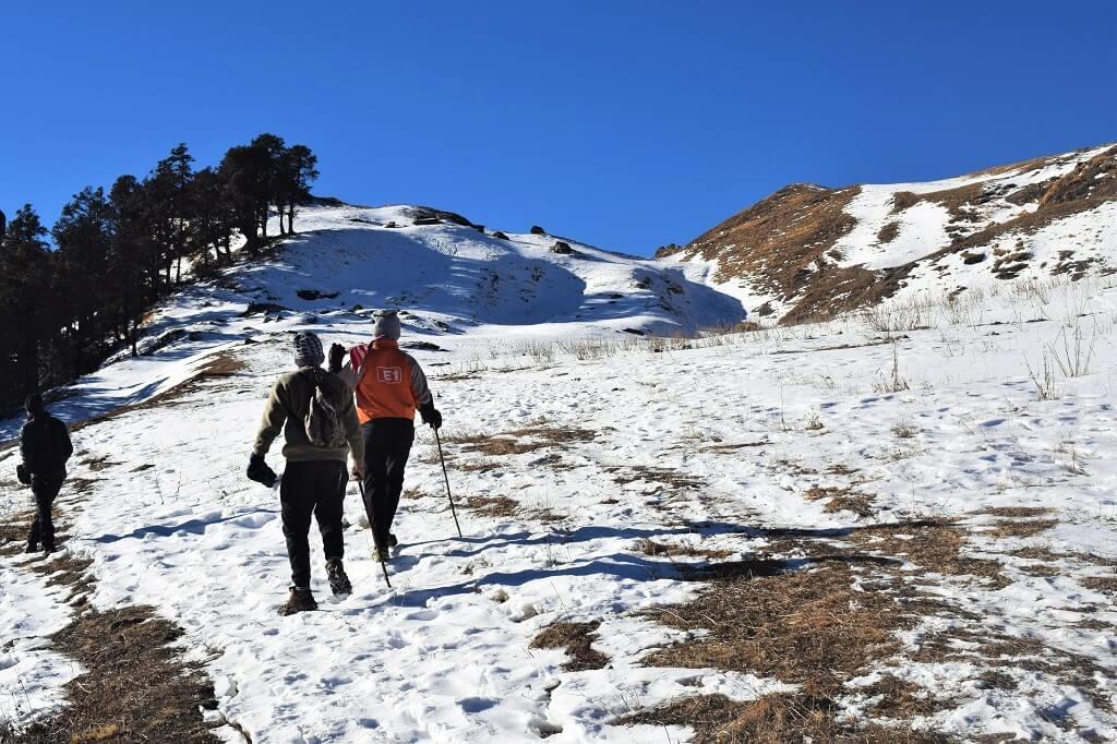 Dodital Trek Darwa Top - 10