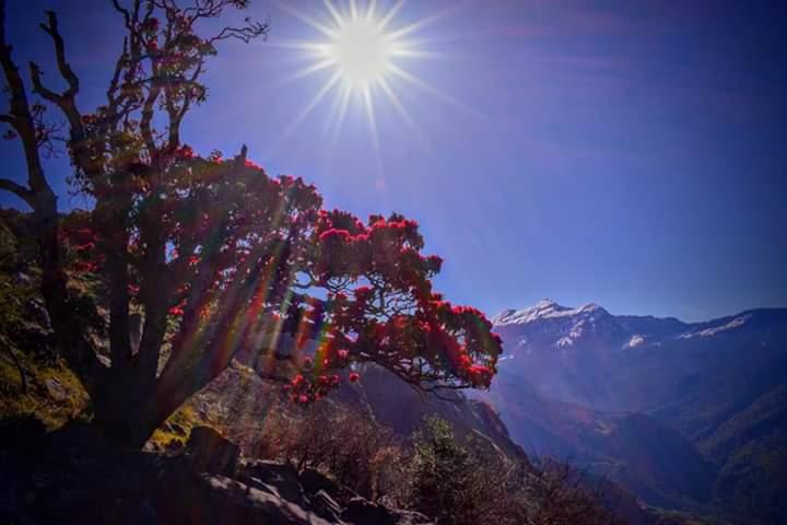 Chopta Trek - 7