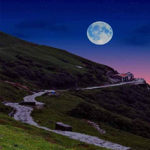 Chopta Trek
