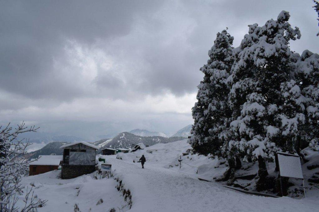 Chopta Trek - 10