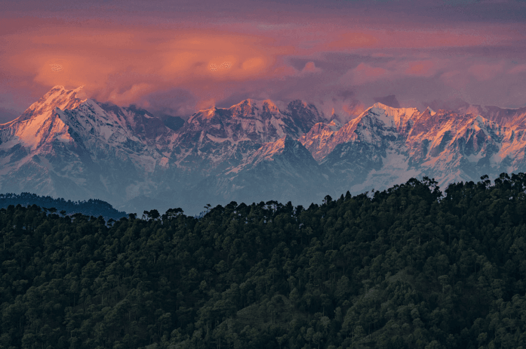 Binsar