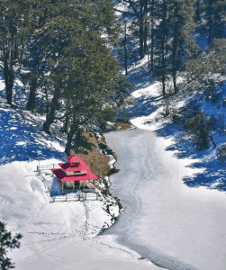 Dayara Bugyal Trekking - 8