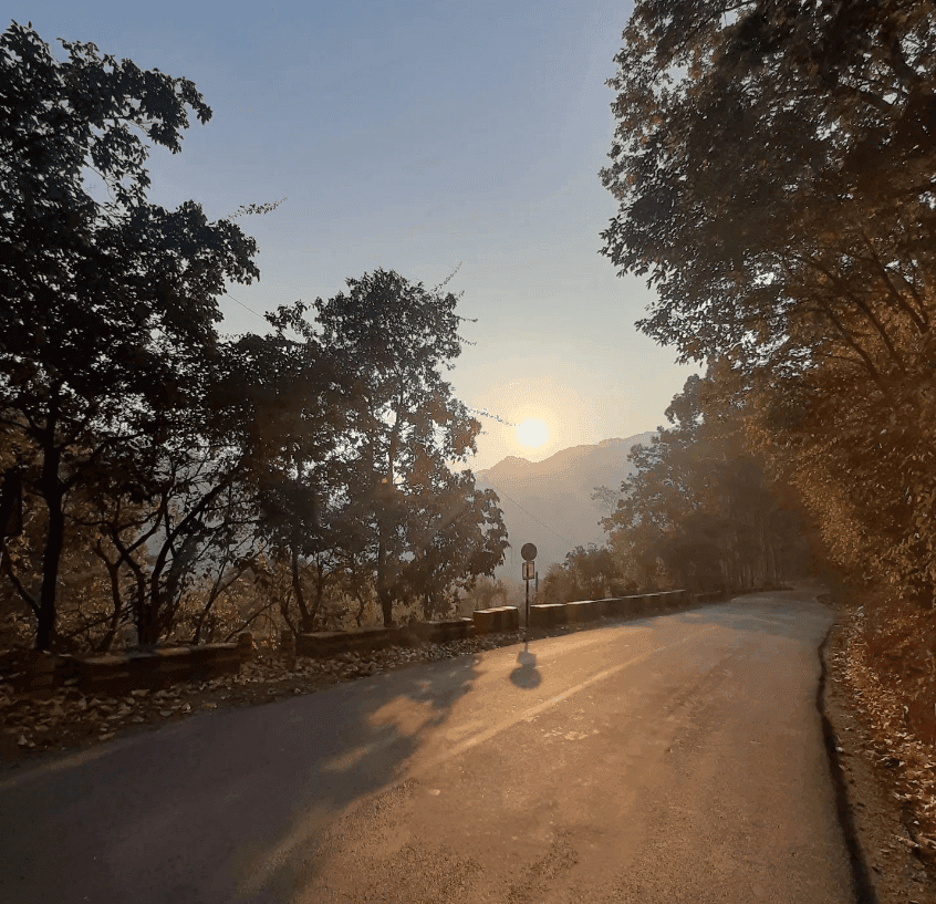 Jeolikot