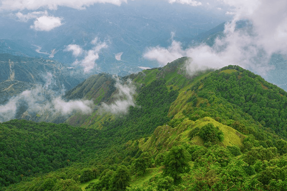 Benog Wildlife Sanctuary FAQs