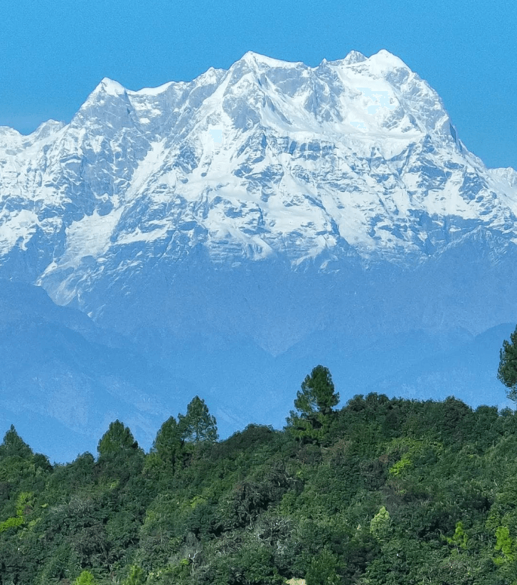 Chaukhamba