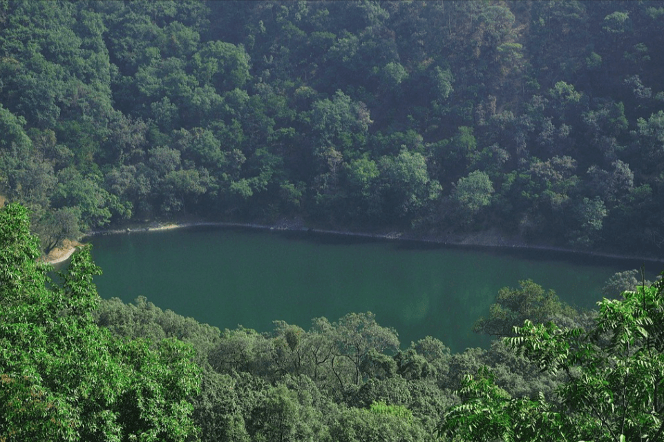 Garud Tal