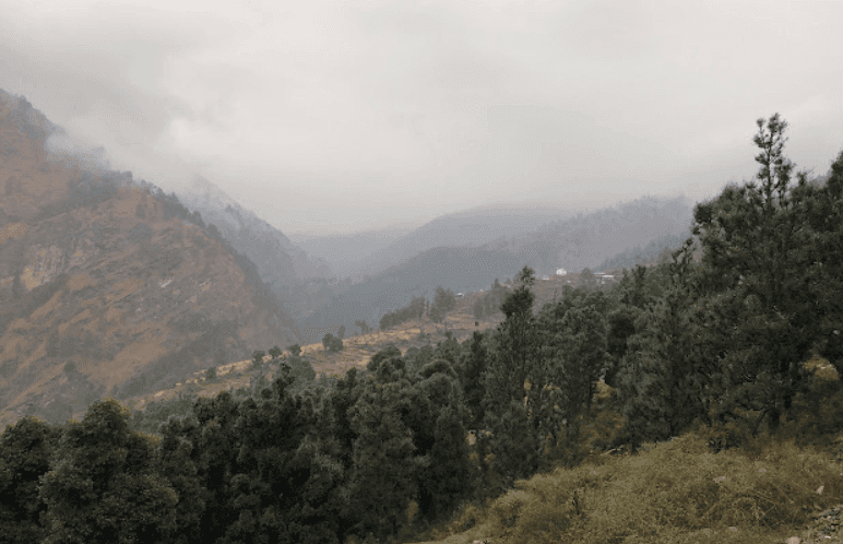 Pauri FAQs