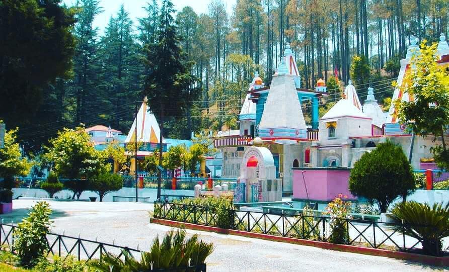 Binsar Picture