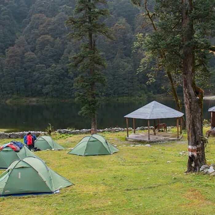 Dodital Picture