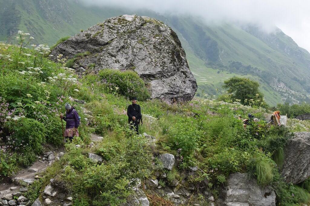 Valley of Flowers Trek photo 2