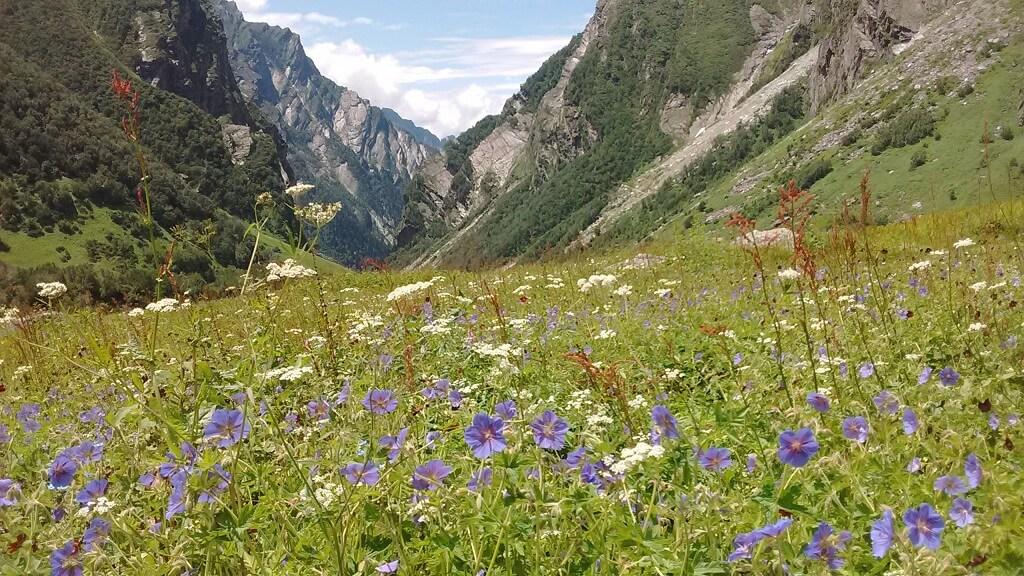 Valley of Flowers & Hemkund Sahib Trek - 1