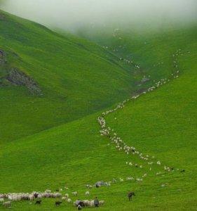 Gidara Bugyal Trek - 1