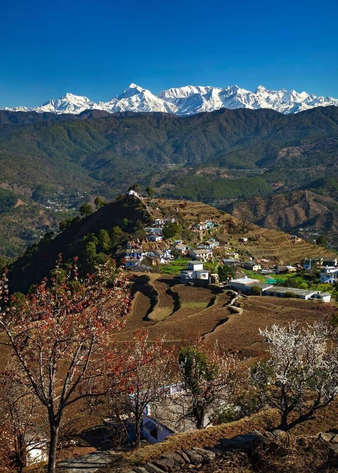 Ranikhet