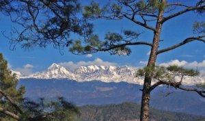 Bageshwar Kausari