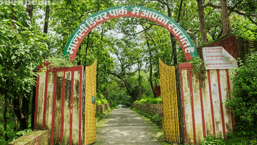 Malsi Deer Park