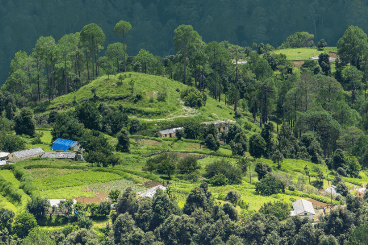 uttarakhand Kanatal