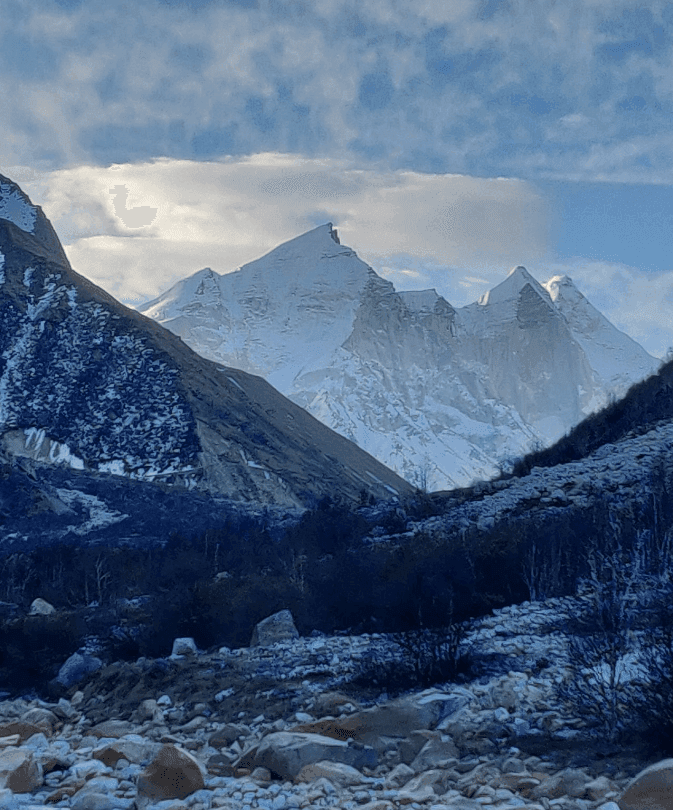 How to reach Gangotri National Park