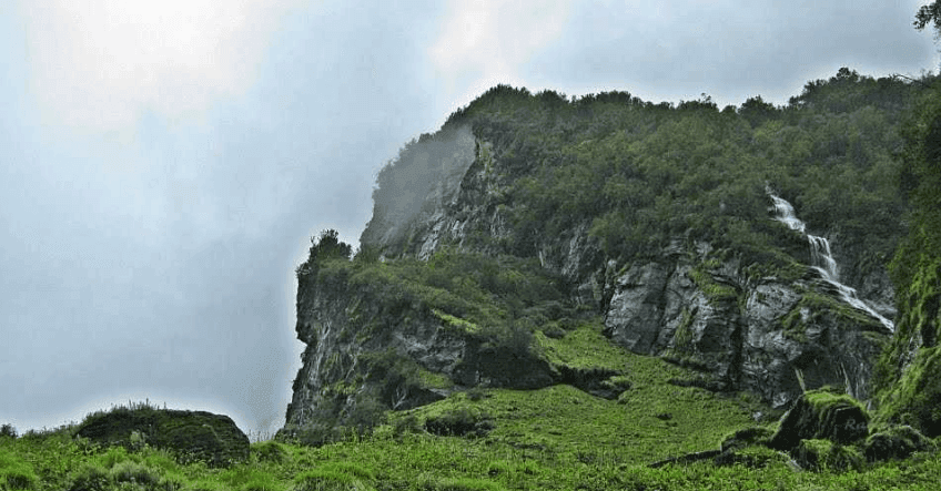 Askot Musk Deer Sanctuary