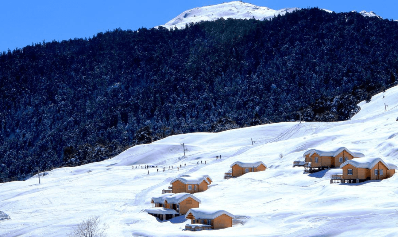 Auli Bugyal