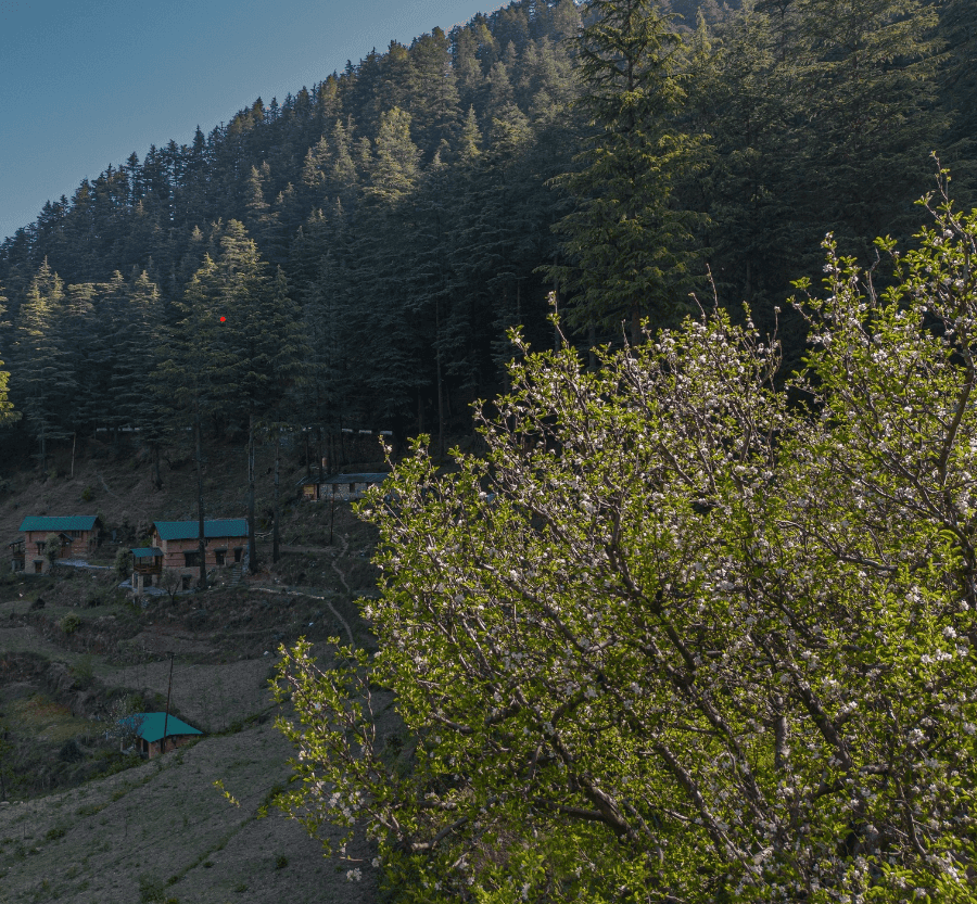 Kanasar