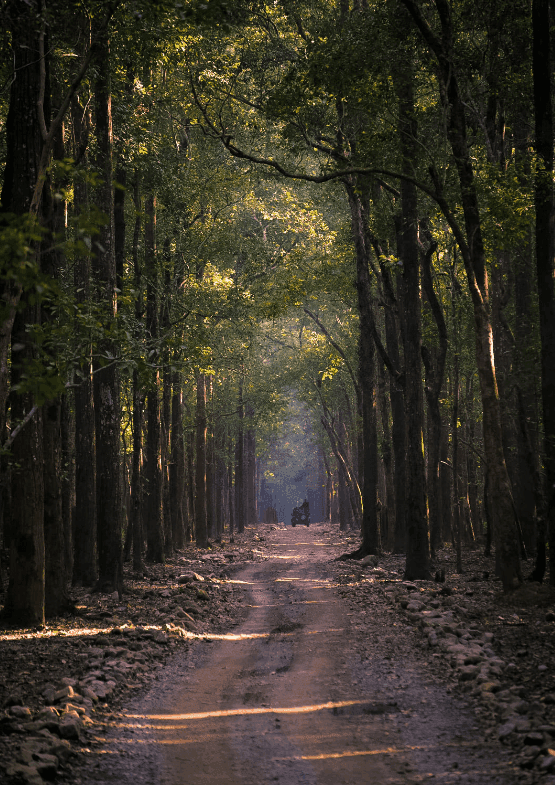 How To Reach Ramnagar