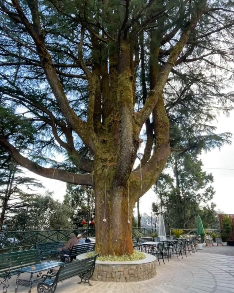 Landour Picture
