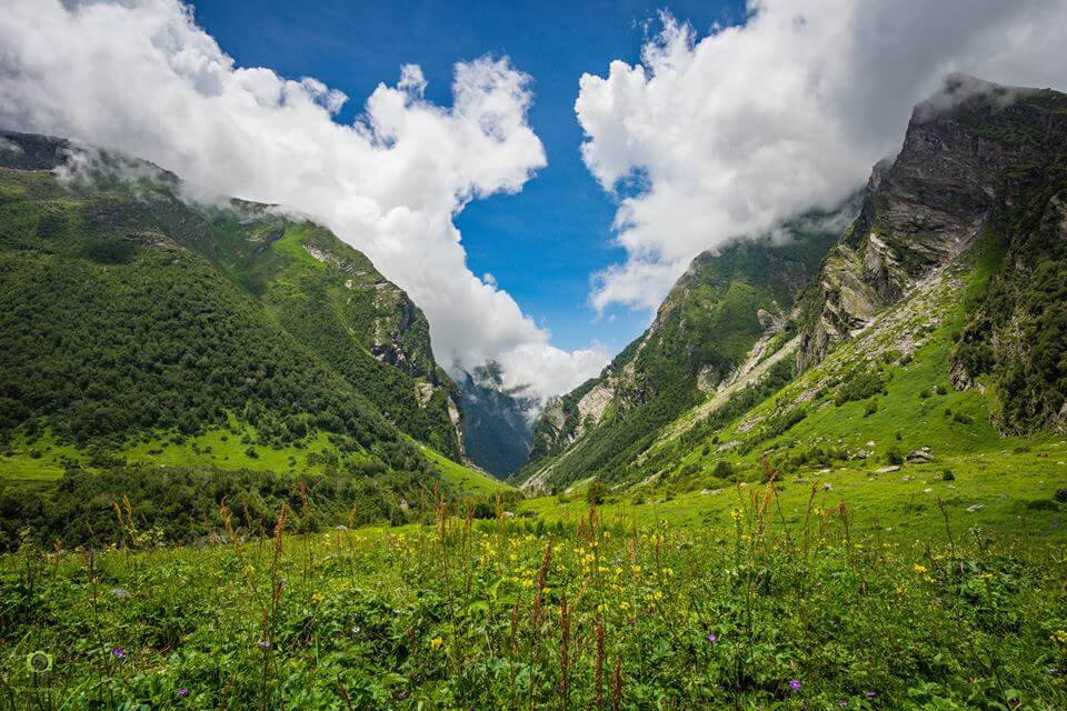 Valley of Flowers