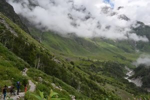 Utttarakhand Trip Trek:  beautiful-view-of-valley-of-flower-uttarakhand