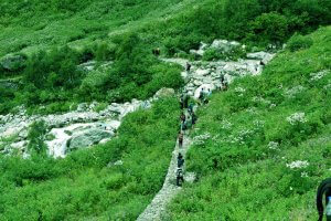 Utttarakhand Trip Trek:  en-route-of-valley-of-flower-2017-chamoli-uttarakhand