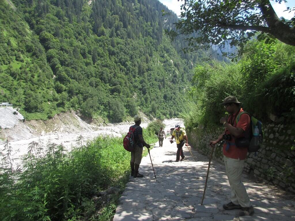 Utttarakhand Trip Trek: Valley of Flowers Hemkund Sahib Trek en-route-of-ghangaria-valley-of-flower-trek-uttarakhand