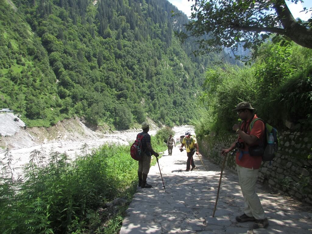 Utttarakhand Trip Trek:  en-route-of-ghangaria-valley-of-flower-trek-uttarakhand