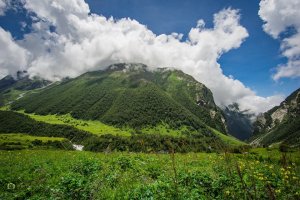 Utttarakhand Trip Trek:  valley-of-flower-2016