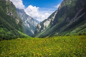 Utttarakhand Trip Trek:  valley-of-flower-uttarakhand