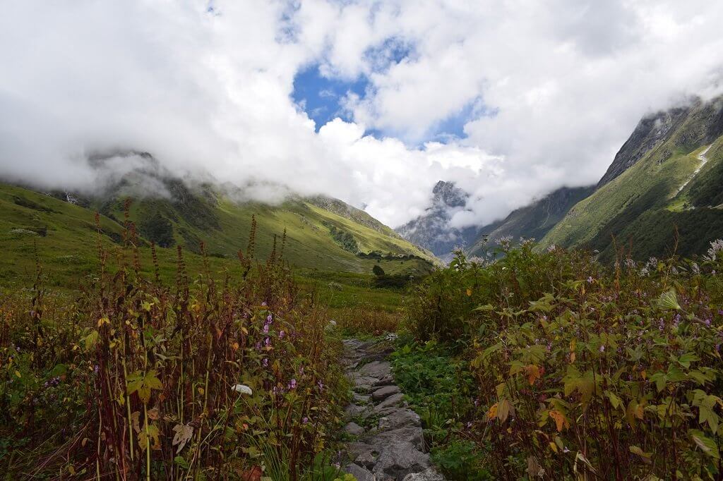 valley of flowers national park, uttarakhand
