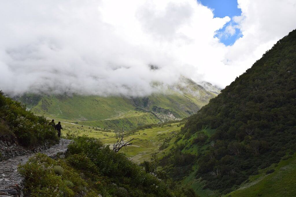 valley of flower trekking, uttarakhand