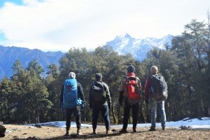 Utttarakhand Trip Trek:  kuari pass trek
