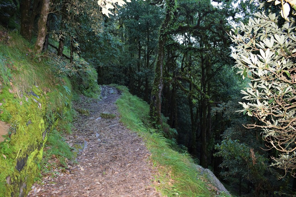 Route of nag tibba trek
