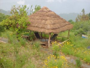 Utttarakhand Trip Trek:  camp site on mukteshwar