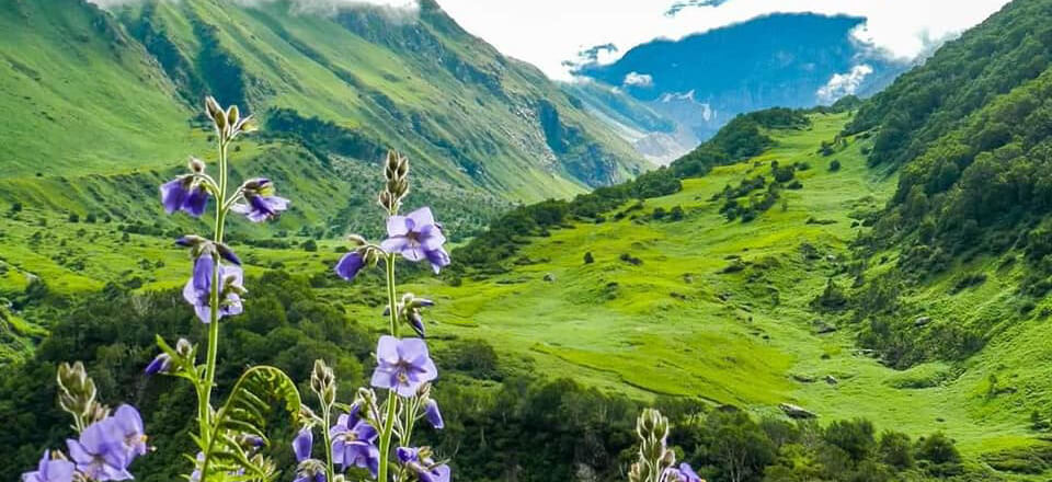 valley of flowers trekking uttarakhand
